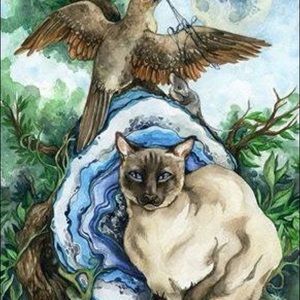 Meet your Posher, Jo-ann f.